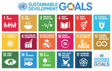 SDG-Poster