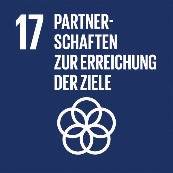 Icon SDG 17: Partnerschaften